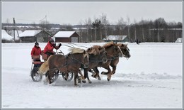 Обгоняя ветер. / День Коня