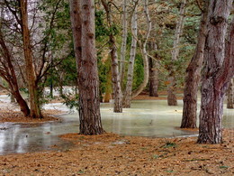 &nbsp; / разливы местного масштаба