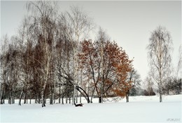 выпал снег / ***