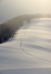 Тропа / http://xt.ht/xtreport/0--imnii-son--arpat Полный фотоотчет о трехдневном походе по зимним полонынам Карпат.