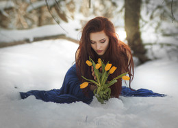 Snow Flowers / ...