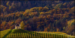 Осенние зарисовки. / Часовня Dreisiebner находится в очень живописном местечке Gamlitz - Sernau Штирия,Австрия.