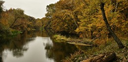 осень / Природа река