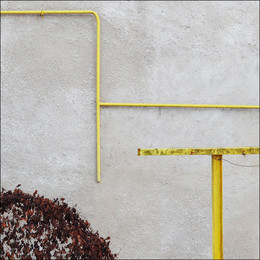 &nbsp; / желтая труба