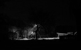 шагающее по ночам дерево в Озерках / или &quot;зимний вечер не в Гаграх&quot;