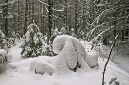 ПРИРОДА ЛУЧШИЙ ХУДОЖНИК / ЗИМА ЕЩЕ НЕ СДАЕТСЯ.