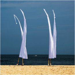 &nbsp; / белые флаги