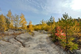 &nbsp; / Осень.