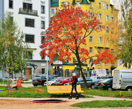 &quot;Осень выкрасила город ...&quot; / &quot;Осень выкрасила город -
 Колдовским каким-то цветом.
 Это просто бабье лето,
 Бабье лето ...&quot;