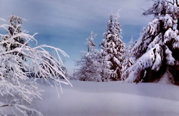 Белая вьюга-зима снегом запорошила / Карпаты, Славское