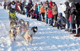 Гонка Baikal Race на собаках / В Иркутске от ледокола «Ангара» в начале марта стартовала Международная линейная гонка на собачьих упряжках «Baikal Race-2018». Участники проходят дистанцию в 56 км, а отдельные бегут 155 км.