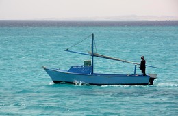 Египетский рыбак / ***