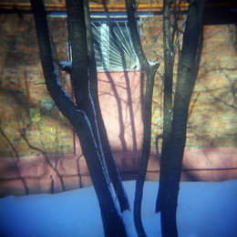 Решетка за деревьями на стене на Заводской улице весной / Решетка за деревьями на стене на Заводской улице весной