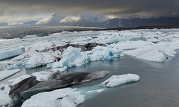 Ледовое нашествие / Исландия