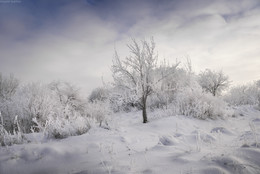 Замерзший сад / Фотографию мне удалось сделать в один из тех редких зимних деньков, когда деревья покрываются изморозью. В тот день я очень много находил по окрестностям, ведь вся природа превратилась в хрустальный сказочный мир! Эта зима очень радует своим разнообразным волшебным состоянием!