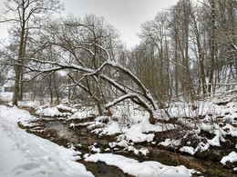Ранняя весна в графском парке / Парк Тышкевичей, Логойск
