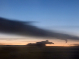 лошадка в поле на рассвете) / ***