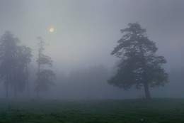 Минимальная пятница / Туманный рассвет в горах Кавказа
