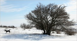 Век / Лайма-год, представляет