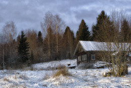 Предчувствие весны / зима лес