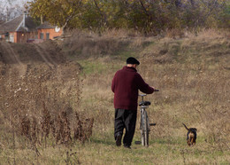 Друг / Собака,друг,дружба