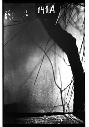  / пленка Rollei Retro 80s
проявитель d-76
время проявки 12,5 минут.