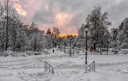 Аллеи в парке зимой. / Сокольники.