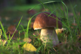 Главный герой / 2017