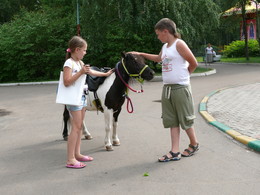 Главный герой / В парке отдыха одиноко стоял Пони, к нему подходили люди, гладили его по гриве и каждый из них спрашивали: - ну что лошадка? - в ответ Пони предлагал всем покататься на его спине. Но люди отказывались садиться, ведь он маленький. А Пони героически продолжал ждать седока.