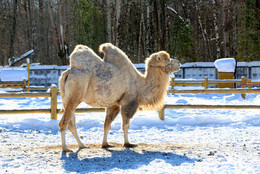 Герой дня / Один из них