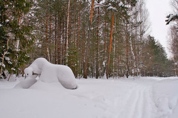 ПРИРОДА ЛУЧШИЙ ХУДОЖНИК / Зима в Татарстанском лесу.