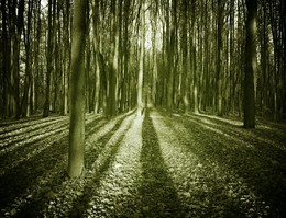 Йодоконт / ***