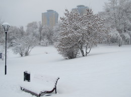 Зимняя картинка / В парке после снегопада