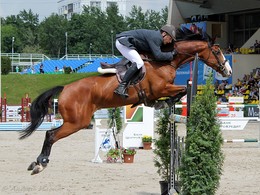 Полёт в Битце / Родиной конкура считается Франция. В пятидесятых годах XIX столетия на парижской выставке лошадей впервые были проведены соревнования по прыжкам через разнообразные препятствия.