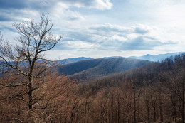 Синий хребет / Blue ridge,
North Carolina, USA