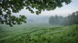 утренний туман / Лето, июнь, утро