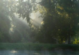 Утром осенним....... / Шуваловский парк. Сентябрь
