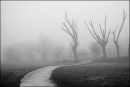 Декабрь / Все