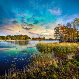 Озеро Аримайчяй, Литва / Ozero Arimaychyay, Litva