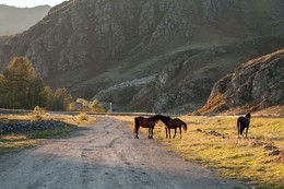 В лучах солнца / Третий лишний
В лучах закатного солнца