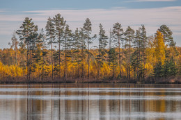 Осень / Фото лесного озера.