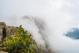 Туманопад / Туман с вершины горы стелится в пропасть
