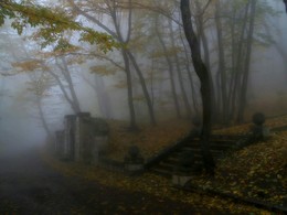 Старая лестница....... / Железноводск. Октябрь