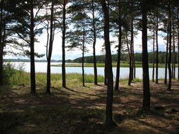 На берегу. / Новосибирская область