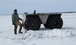 В лучах солнца / 1 марта 2018г.