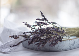 л а в а н д а / ***