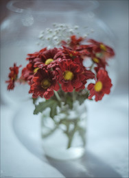  / Helios 40-2