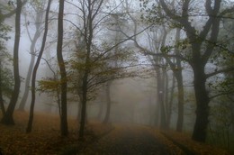 В парке осеннем..... / Железноводск. Октябрь