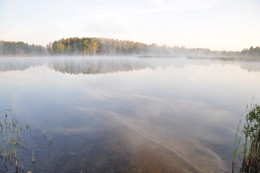 Утро на лесном озере. / Утро на Федорином озере.