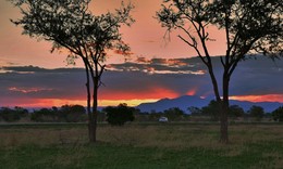 По дороге из национального парка Танзании / По дороге из национального парка Танзании после захода солнца